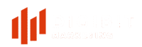 DigiBit Marketing